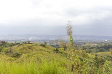 Yaz dağları yeşil çimenler ve mavi gökyüzü manzarası