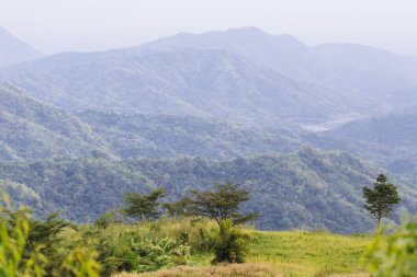 Yaz dağları yeşil çimenler ve mavi gökyüzü manzarası