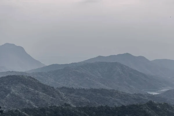 夏山绿草蓝天风景 — 图库照片