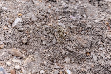 toprak yakın çekim - arka plan olarak kullanılabilir