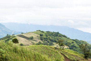 Yaz dağları yeşil çimenler ve mavi gökyüzü manzarası