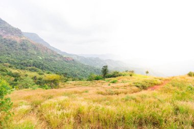 Yaz dağları yeşil çimenler ve mavi gökyüzü manzarası