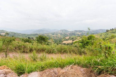 Yaz dağları yeşil çimenler ve mavi gökyüzü manzarası