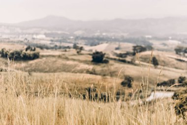 Yaz dağları yeşil çimenler ve mavi gökyüzü manzarası