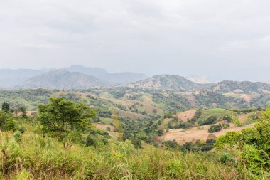 Yaz dağları yeşil çimenler ve mavi gökyüzü manzarası