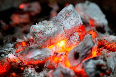 Kül tablasında sigara külleri.