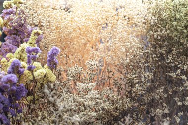 Çoklu renkli Çeşitli şekilli Sahte Çiçekler