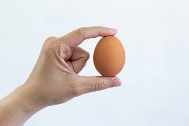 Arka planda tavuk kahverengi yumurtalar