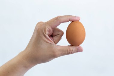 Arka planda tavuk kahverengi yumurtalar