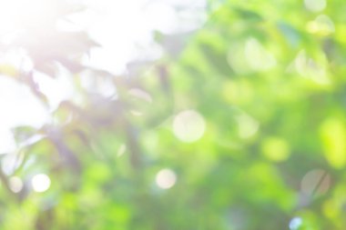 Odaklanamayan soyut ışıkların arkaplanı. Bokeh ışıkları 