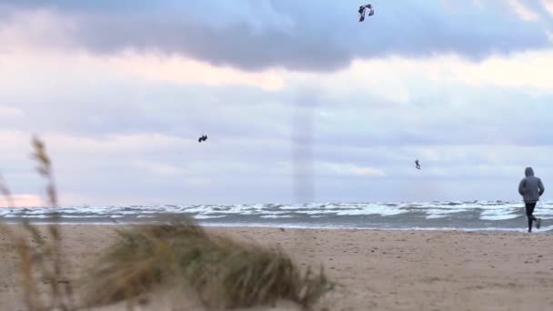 Kiteboarding on windy day — Stock Video