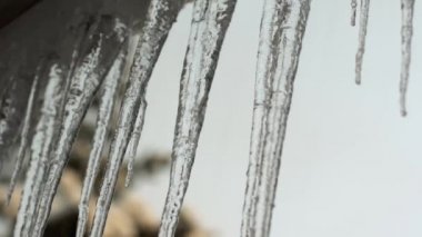 evin çatısında asılı buz sarkıtları