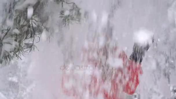 Śnieg pada z drzewa na głowę kobiety. zwolnionym tempie — Wideo stockowe