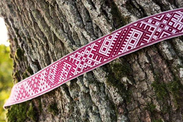 Símbolos nacionales de Letonia - Cinturón de Lielvarde alrededor del árbol — Foto de Stock