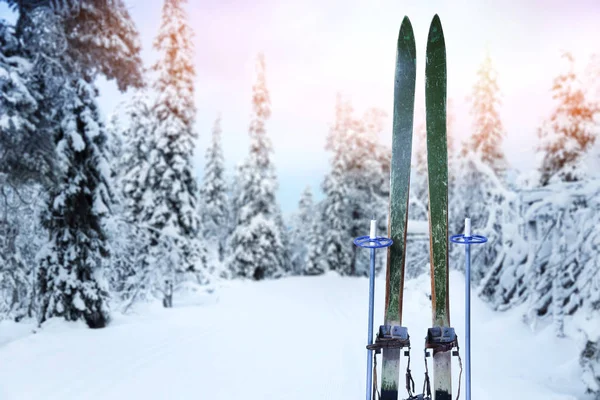 Pista de esqui cross country nevado com esquis de madeira retro e bastões de esqui — Fotografia de Stock