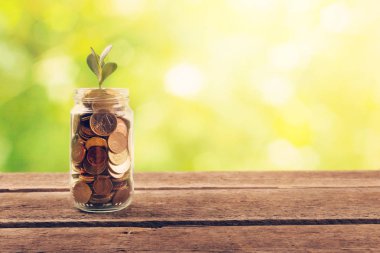 mali tasarruf konsept - paralar dışarı büyüyen bitki