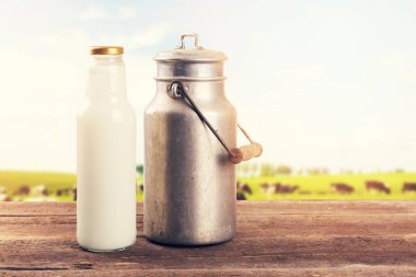 süt can ve şişe üzerinde tablo inek yakınındaki Çayır Mera