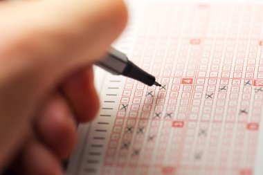el bir bingo lotto Piyango Bilet doldurma