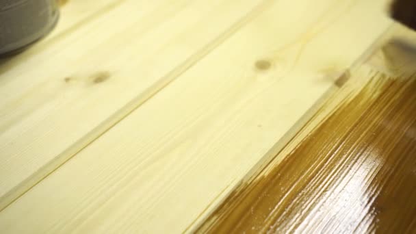 Pittura tavole di legno con olio protettivo colore marrone — Video Stock