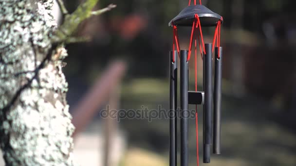 Campanas de viento colgando en un árbol en el patio trasero — Vídeo de stock