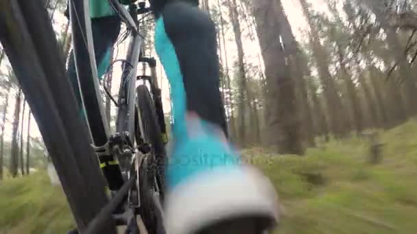 Cyclist riding mountain bike on forest trail — Stock Video