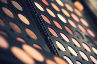 profesyonel göz gölgeler koleksiyonunun paleti