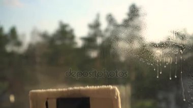 el elektrikli süpürge ile pencere Temizleme