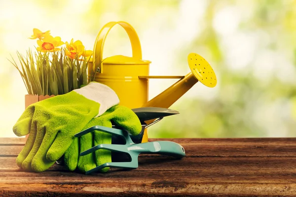 Conjunto de ferramentas de jardinagem no fundo do jardim ensolarado bokeh — Fotografia de Stock