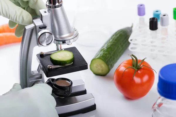 Concepto de control de calidad de los alimentos - científico que inspecciona el pepino con microscopio en laboratorio —  Fotos de Stock