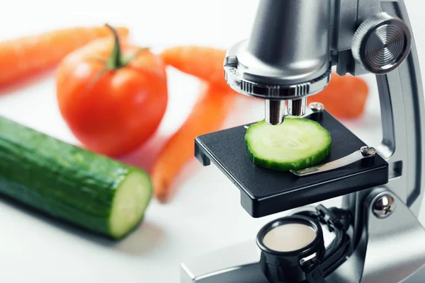 Conceito de controle de qualidade dos alimentos - inspeção de pepino com microscópio — Fotografia de Stock