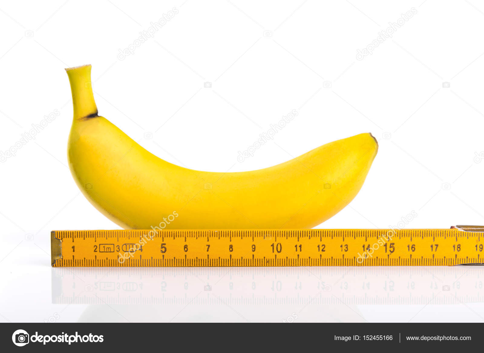 9 Zoll weißer Penis Schwarze lesbische Bukakke