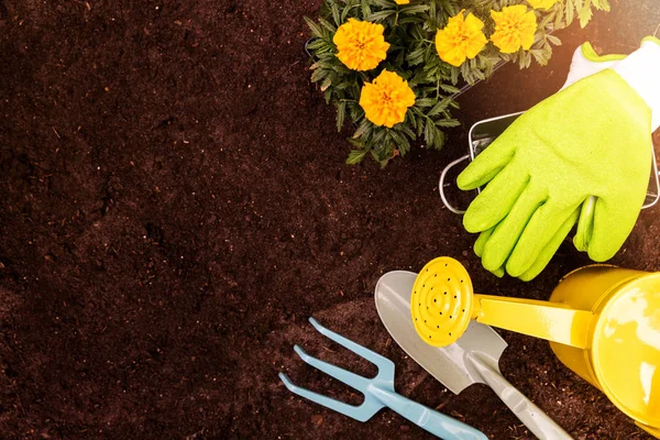 Gardening tools and marigold flowers on soil background with copy space — Stock Photo, Image