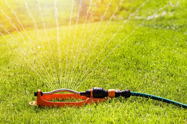 Rasensprenger speit Wasser über Bewässerungssystem für grünes Gras — Stockfoto