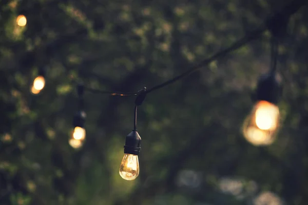 Arka bahçedeki bir hatta asılı duran tel lambalar.