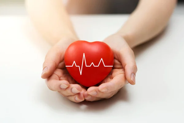 Elinde Kardiyoloji veya sağlık sigortası kavramı - kırmızı kalp — Stok fotoğraf