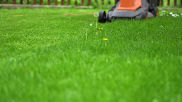 Стричь свежую траву газонокосилкой — стоковое видео