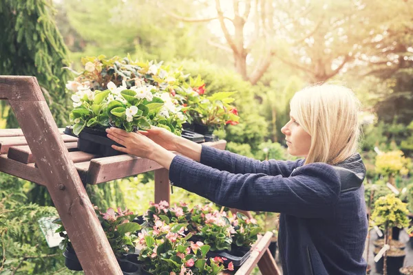 Frau pflückt Blumentopf aus Regal in Gärtnerei — Stockfoto