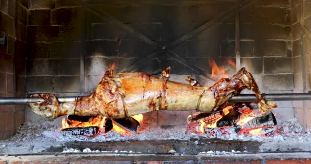 Lamm am Spieß im Brennholzgrill — Stockvideo