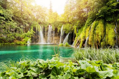 Hırvatistan 'ın Plitvice Lakes Ulusal Parkı' ndaki şelaleler