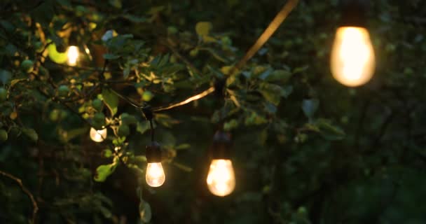 Lumières à cordes décoratives suspendues dans la cour pour la fête en plein air — Video