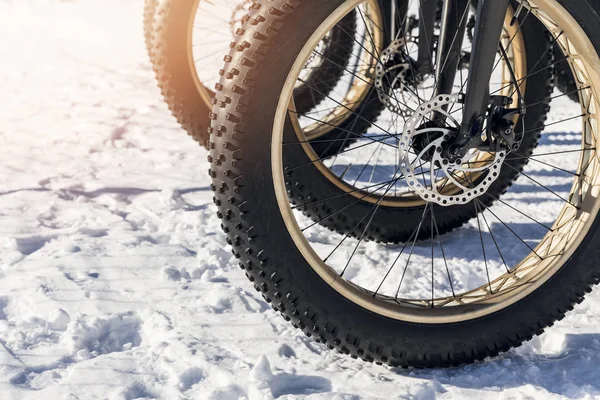 Primer plano de neumáticos de fatbike en la nieve — Foto de Stock