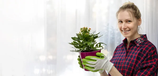 若い笑顔の女性は、屋内での手で植木鉢を保持します。コピー スペース — ストック写真