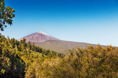 volcano Teide Tenerife Kanarya Adaları'nda ile güneşli manzara
