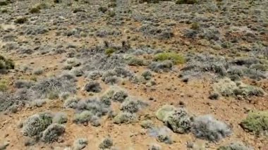 Volkan Teide. Tenerife Kanarya Adaları