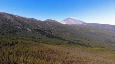 Volkan Teide orman uçan Tenerife için havadan görünümü