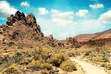 Çölde Hiking trail. Tenerife Kanarya Adaları