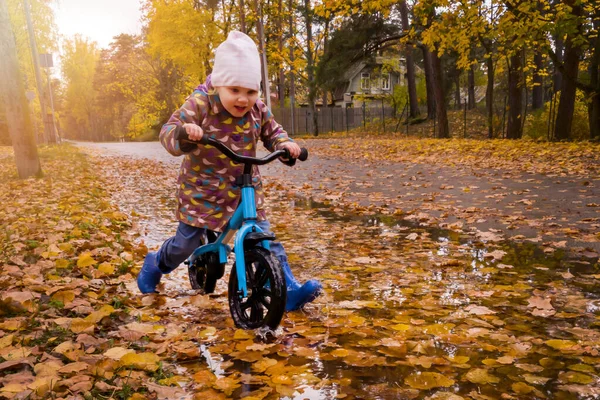 child with balance bike riding through puddle full with autumn leaves