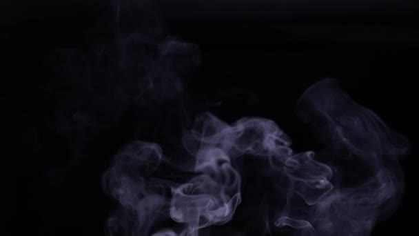 Fumo Bianco Sfondo Nero — Video Stock