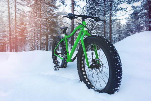Aventuras al aire libre - bicicleta de grasa de pie en la nieve en la parte delantera nevada —  Fotos de Stock