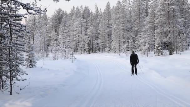 Běžecké Lyžování Muž Lyžemi Zasněžené Zimní Lesní Lyžařské Trati Yllas — Stock video
